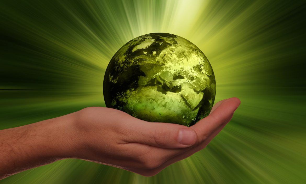 Sustainable Hotels