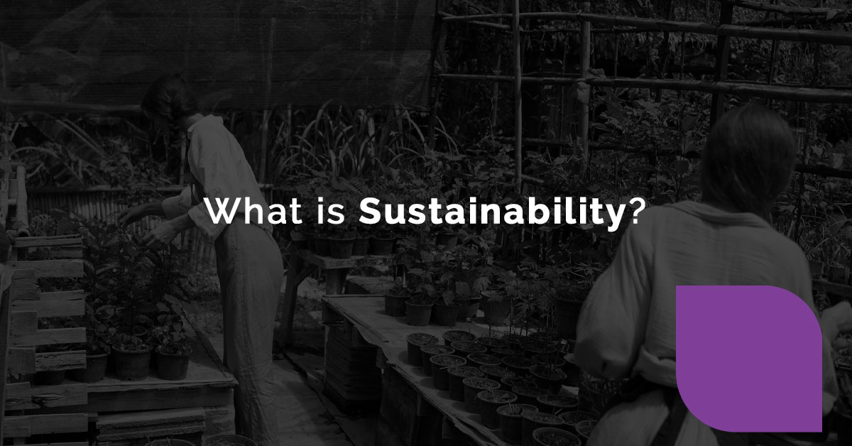 what is sustainability?