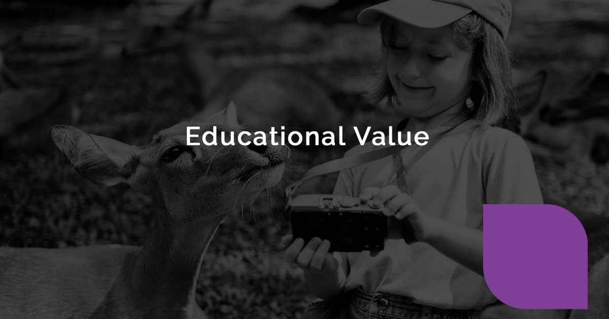 Educational Value
